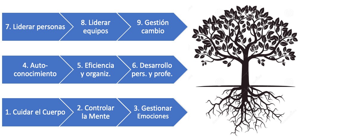 Los nueve hábitos del Alto Rendimiento Consciente y Sostenible (ARCS) - Esquema