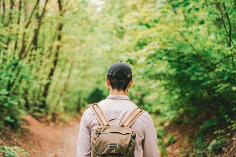 Escape al Bosque