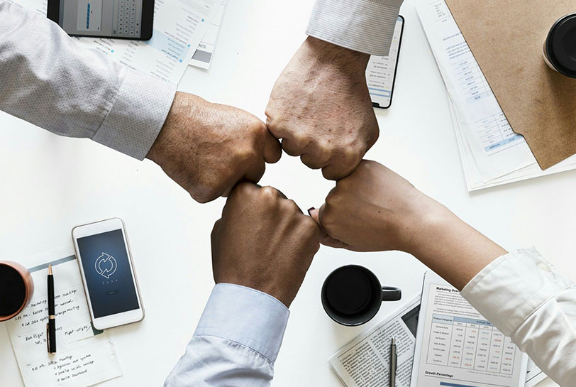 Mover al elefante: la necesidad de agilidad y adaptación al cambio - Equipo